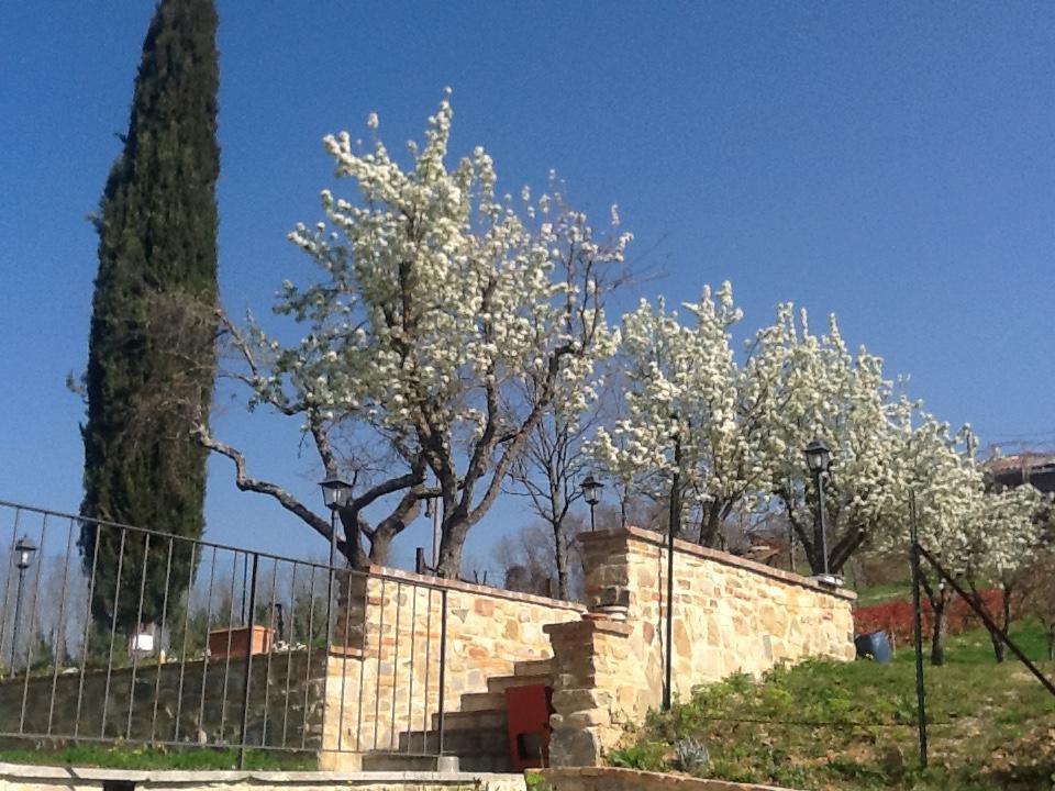 לינה וארוחת בוקר ויקיו Casatorta מראה חיצוני תמונה